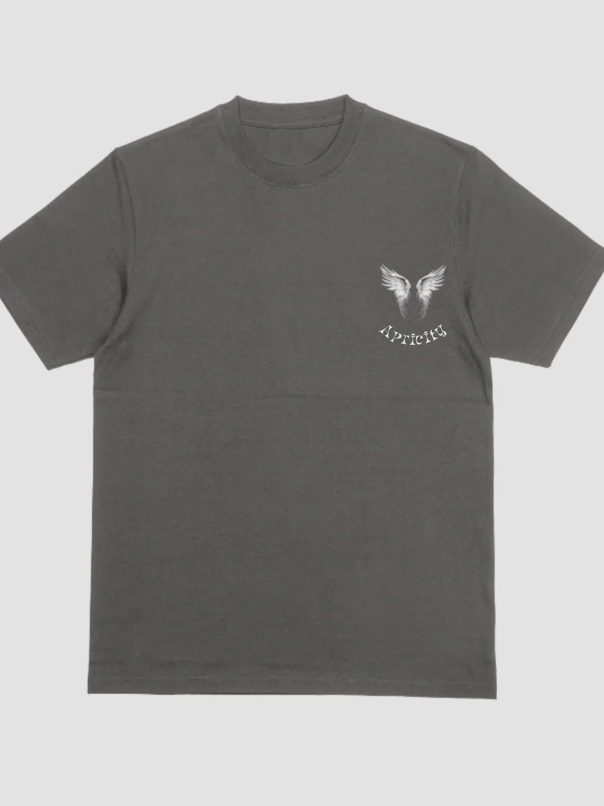 APCTY Angel Wings Tee in charcoal, front view on a studio background