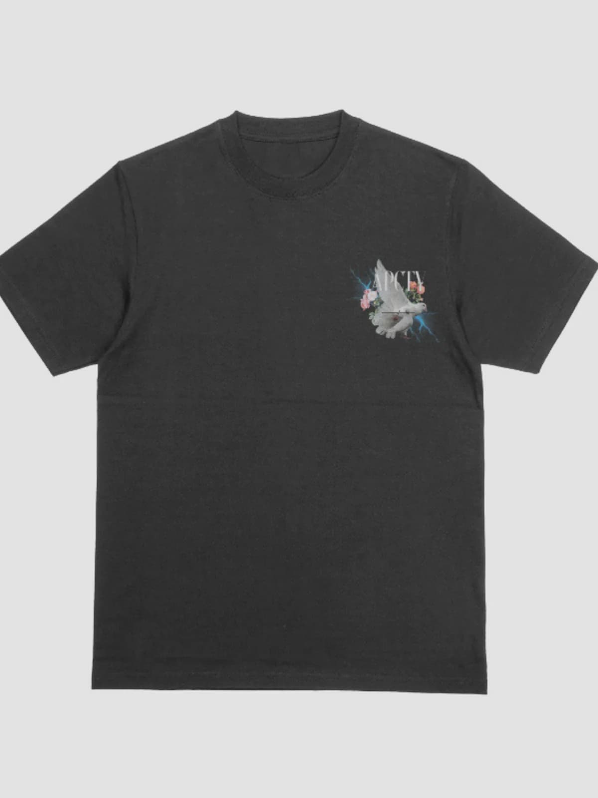 APCTY Dove Tee in washed black, front view on a studio background