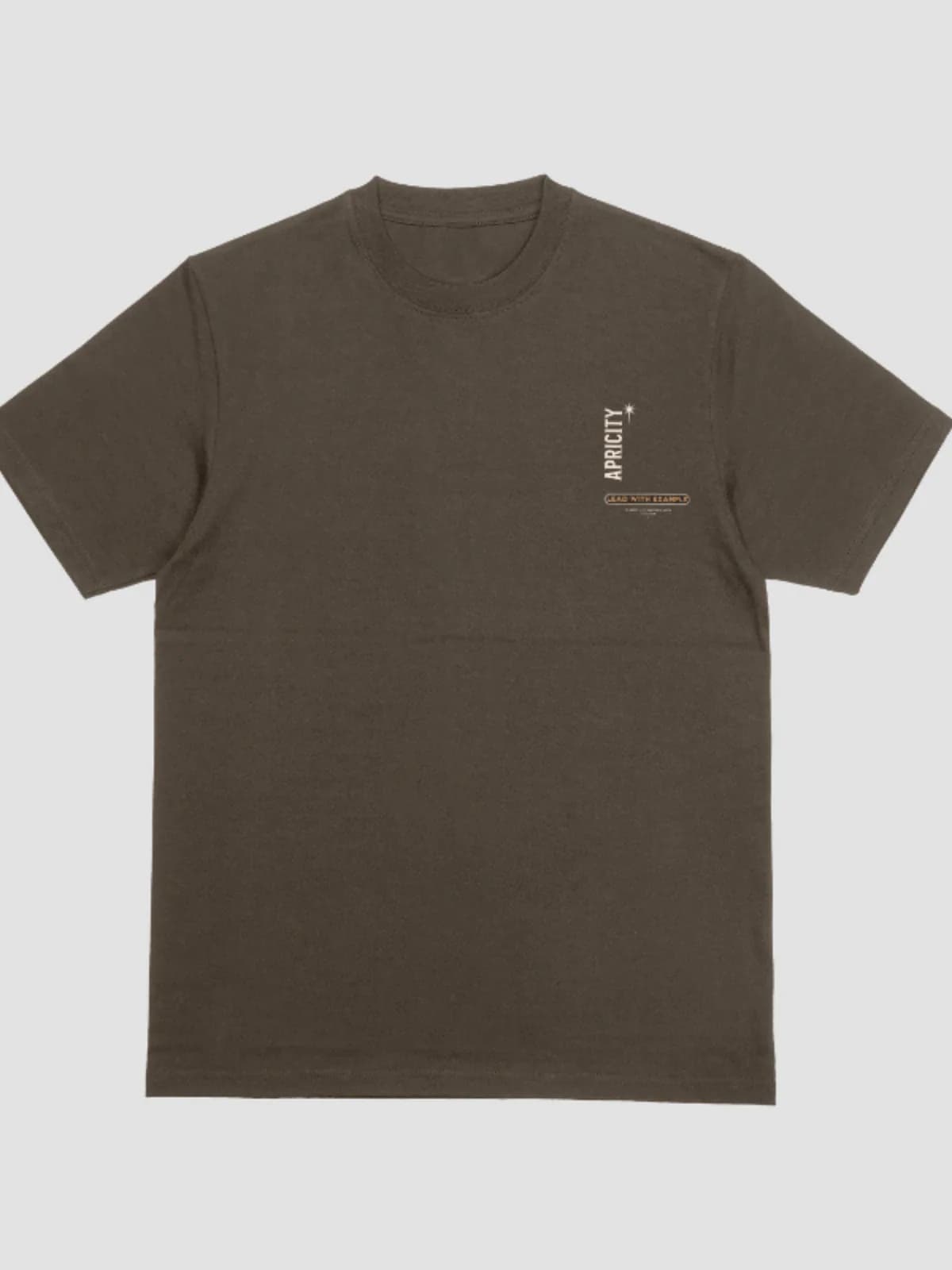 APCTY Fitted Lion Tee in umber brown, front view on a white studio background