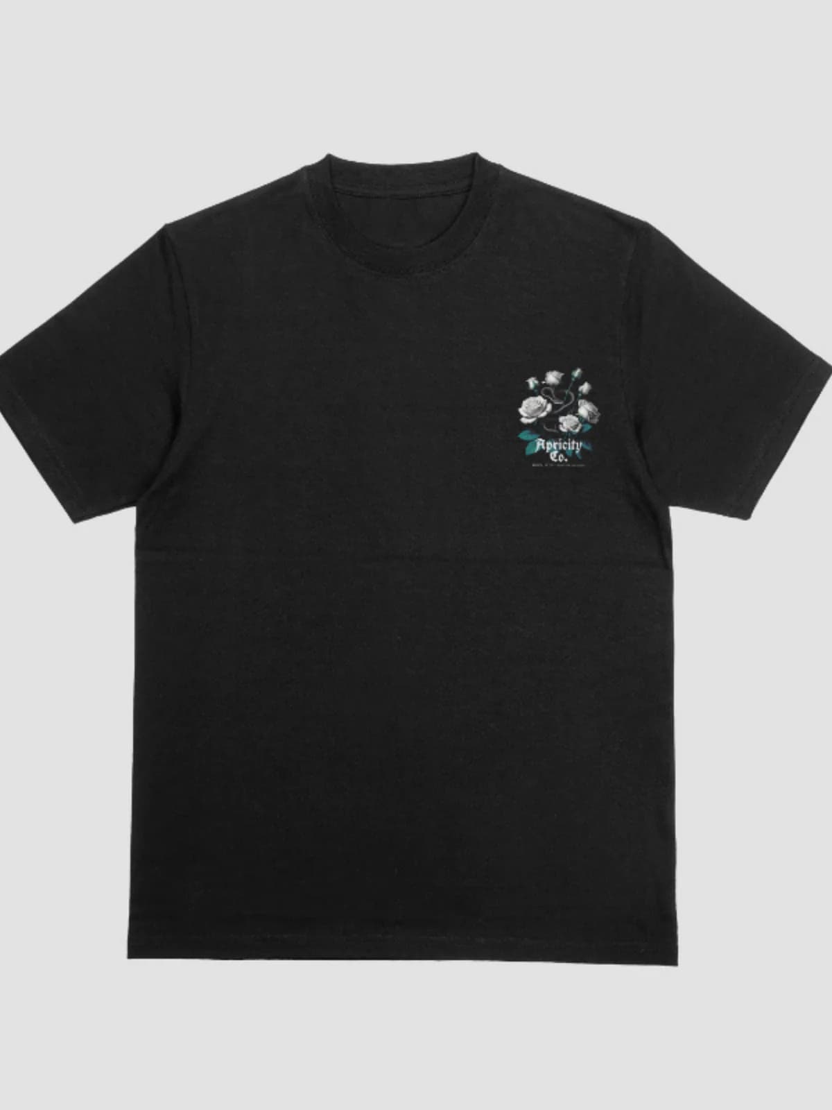 APCTY Vintage Snake Tee in black, front view on a studio background