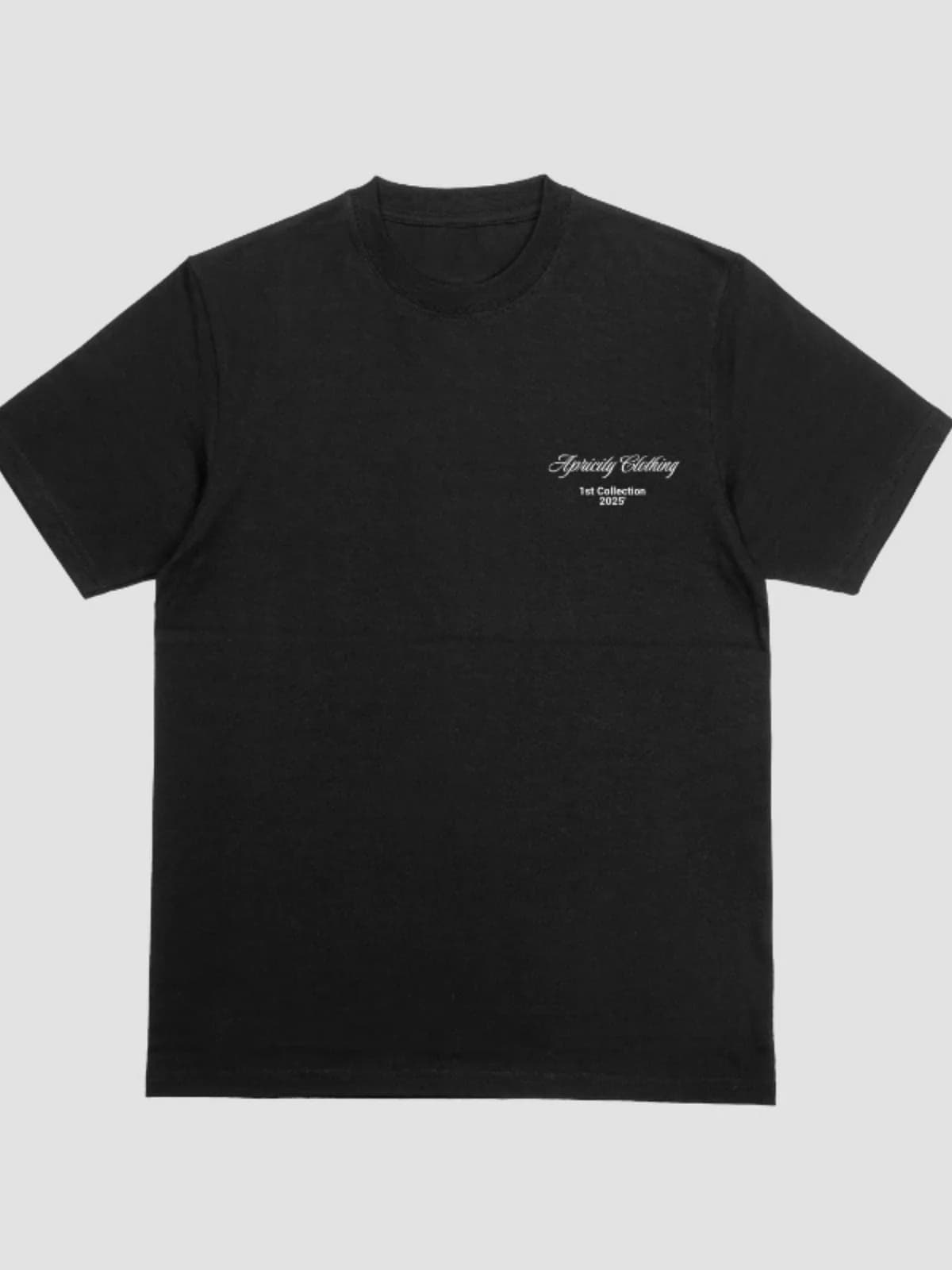 APCTY 1st Collection Fitted Tee in black, front view on a white studio background
